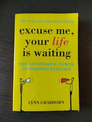 BUKU EXCUSE ME YOUR LIFE IS WAITING. PENGARANG: LYNN