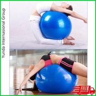 Gym Ball Bola Yoga Birthing Ball Ibu Hamil Alat Olahraga Birth Ball Terbaik Dikelasnya