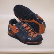 Special Eider Record