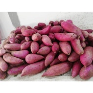 Sweet Potato purple / ubi keledek ungu 1 kg