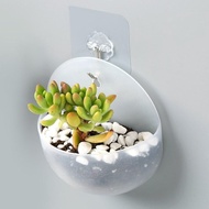 Vas Bunga Terrarium Plastik Tempel / Vas Bunga Dinding Unik / Pot
