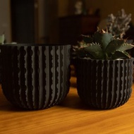 鬼脊系列 | 植木鉢 | 塊根 | 龍舌蘭 | Oni-Ridge-U-9510/1213