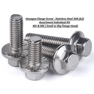 Hexagon Flange Screw Stainless Steel A2 (304) - Assortment Individual Kit (Metric) M5-0.8P & M6-1.0P