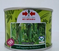 Malaysia Stock Tin 50g JUMBO GREEN F1 Biji Benih Timun Batang Besar Cap Panah Merah F1 Hybrid Cucumb