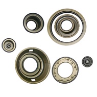 AL4 DPO DP0 ชุดซ่อมลูกสูบเกียร์อัตโนมัติสำหรับ 4 ความเร็ว RENAULT PEUGEOT 307 CITROEN C4 C5 อุปกรณ์เ