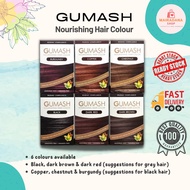 [READY STOCK + FREE GIFTS] Pewarna Rambut Mesra Wudhu' GUMASH NOURISHING HAIR COLOUR