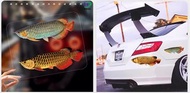 3 D 仿真金魚好運連連車貼紙電動摩托行李箱包機箱玻璃反光防水貼紙