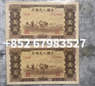 高價回收 舊紙幣 1951年 壹萬圓 一萬元 牧馬圖 第一代人民幣