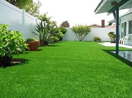 KOREAN GRASS LAWN SEEDS SACRED GARDEN