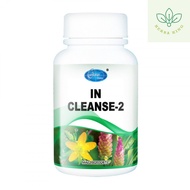 Conforer In Cleanse H04 | Comfortable Liver Clearing Gallbladder H04