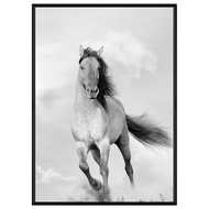 Boluo 菠蘿選畫所 馳騁的野馬 ANSS4606B 掛畫  59.4 x 42cm  黑色