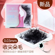 0.3m Bulk Pointed Root Hair 8-1 Beautiful Eyelash Grafting Fake