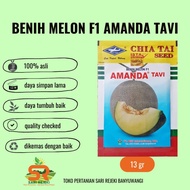 BENIH MELON F1 AMANDA TAVI 550 seeds