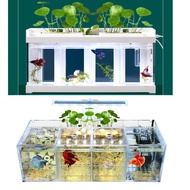 Local Company. Betta tank. Betta fish tank. 3 OR 4 compartment come with light and pump.exclude others accessories.
