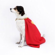 Superman Pet Dog Cape Halloween Cosplay Star Rain Chen DC Comic Series Instant Delivery Cosplay Acce