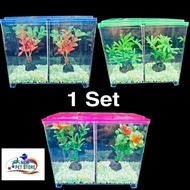 AQUARIUM Plastic Aquarium Small Tank with Divider 18cmx8cmX 15cm 1 set