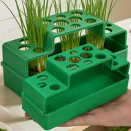 Root Vegetable Nursey Tray - Scallion Hydroponic Planter - Soilless Cilantro Growing Pots - Garlic S