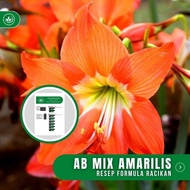 Resep Ab Mix Amarilis Formula Racikan Nutrisi Bunga Amarilis