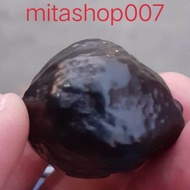 muncang adu yanti garut murah ori batok tebal terkuat