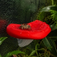 GPEQE 2PCS Jumping Spider Mushroom-shaped Platform, 3D Printed Plastic Reptiles Avoid Caves, Spider 