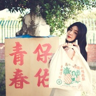 寶島風景-帆布輕薄摺疊購物袋