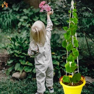 [pantorastar] Garden Climbing Vine Flower Stand Plants Support Garden Trellis Iron Line Lotus Rose Plant Balcony Climbing Bracket