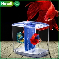 [HATELI] （19*9*14cm，Incubation + Rearing）Aquarium Tank Fish Betta Incubator Small Betta Mini Isolation Box Double Betta Box