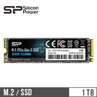 SP廣穎 1TB M.2 PCIe固態硬碟 SP001TBP34A60M28