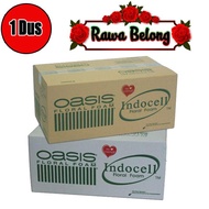 Rawa Belong - 1 DUS / 20 Pcs Oasis Floral Foam Gabus Busa Bunga Oasis Basah Premium Floral Foam Basa