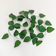Az Daun Rambat Plastik Dekorasi Dinding Artificial Bunga Lamaran Ivy - Daun Apel