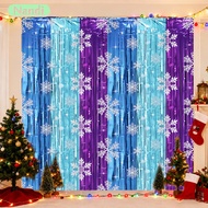 Christmas Snowflake Rain Curtain Ice and Snow Theme Party Decoration Background Tassel Curtain Birth