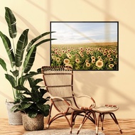 夏日金黃燦燦 - 黃金向日葵攝影掛畫/植物風景/太陽花/居家佈置