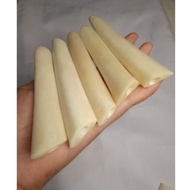 ONCE PIPA ROKOK SRIGADING MULUS