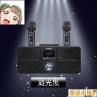 【現貨】貨 聖誕首選[臺灣 快速到貨] SDRD SD-309 SD309藍牙音箱 家庭KTV K歌神器無線雙人伴　藍芽