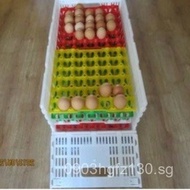 Foldable Crate Golden Phoenix Foldable Factory Direct Sale Egg Crate Plastic Crate Foldable Foldable