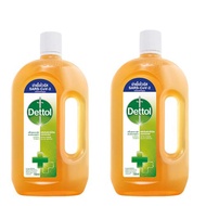 Dettol เดทตอล น้ำยาฆ่าเชื้อ ผลิตภัณฑ์ฆ่าเชื้อโรคอเนกประสงค์ 750ml Hygiene ไฮยีน