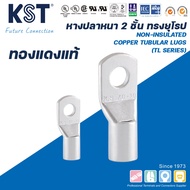 KST European Style Thick Fishtail 10mm2-35mm2 Fiber Cable TL SERIES Model