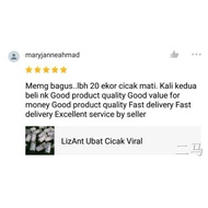 ▥◈₪[READY STOCK] RACUN CICAK LIZANT/UBAT CICAK/LIZARD KILLER