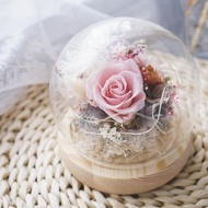 花藝DIY材料包│小夜燈玻璃鐘罩 永生花藝 │含影片教學