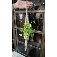Ready Stock Pot hanger colorful Light brown cotton flower pot hanger (photo pot hanger size 70cm)