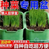 New Germination Machine Household Quick Germination Bean Sprout Planting Germination Pot Bean Sprout