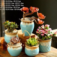 Succulent Flower Pot Ceramic Breathable Stoneware Indoor Succulent Small Flower Pot Combination Large