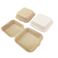 Bagasse box Bento Cake Burger FREE Bento Base/ Burger box Cake box
