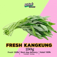 Fresh Kangkong Spinach Harga Pasar Borong 250g SAYURAN SEGAR Vegetables Murah Grocery Segar Wholesal