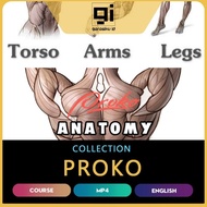 Proko - Anatomy Full Course