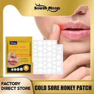South Moon Cold Sore Honey Patch Lip Blister Patch Mouth Blister Patch Cold Sore Lip Blister Patch C