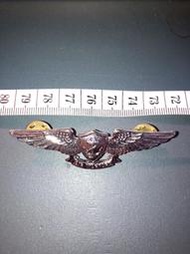【真品】美國海軍航海航空單兵技能章(胸徽/冷戰/現代/常服/二戰/一戰/軍裝/美軍/軍服)