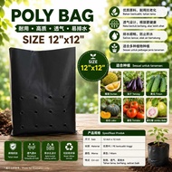 PolyBag Tanaman Berkualiti Tinggi & Tahan Lama (Size:12X12)HITAM