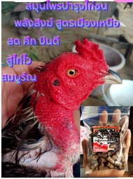 ยาบำรุงไก่ชน พลังสิงฆ์