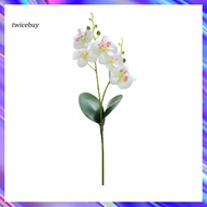 [TY] Artificial Flowers Butterfly Orchid DIY Plant Wall Accessories Home Decoration